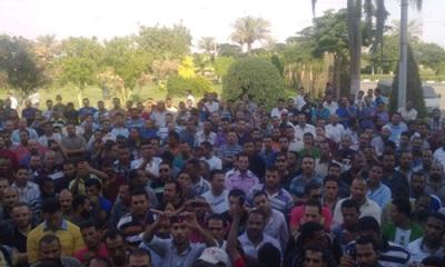 تواصل إضراب عمال السيراميك بالعين السخنة لليوم الرابع