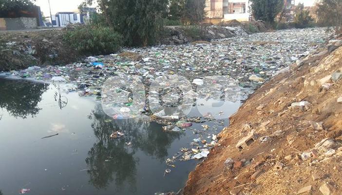 بالصور.. مصارف الشرقية مقالب قمامة وتجمعات حشرات