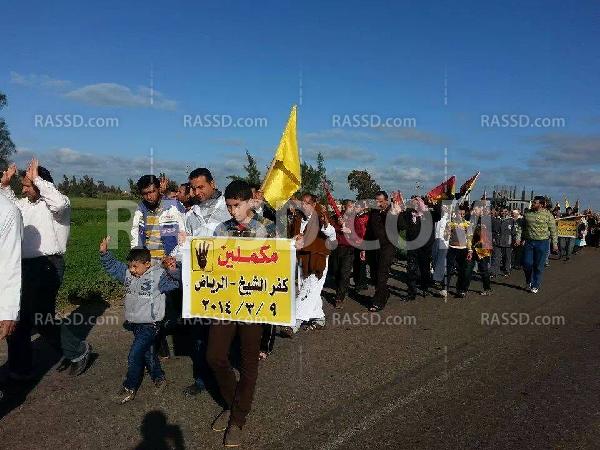 سلسلتين صباحيتين في كفر الشيخ