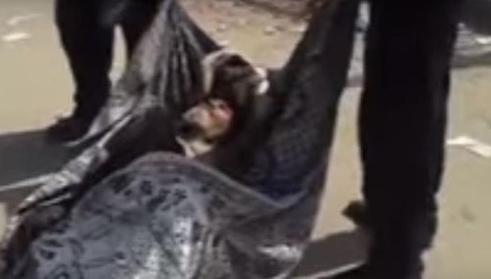 بالفيديو.. رجال أمن مستشفى الأحرار بالشرقية يلقون مواطنا خارجه