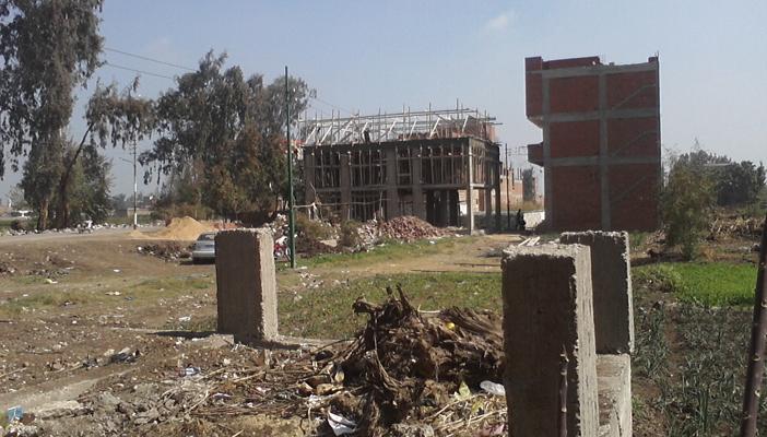 1.5 مليون حالة تعدٍّ على الأراضي الزراعية بمصر منذ ثورة يناير