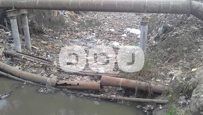 بالصور.. معاناة الفلاحين من تلوث مياه الري بالدقهلية