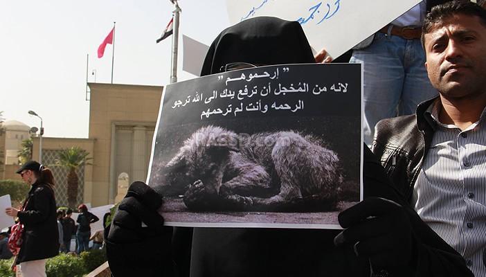 السجن المشدد 3 سنوات لقاتلي “كلب الأهرام”