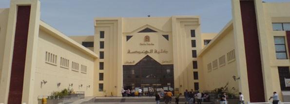 دكتور جامعي بطنطا يوظف مشروع تخرج طلابه لخدمة الانقلاب