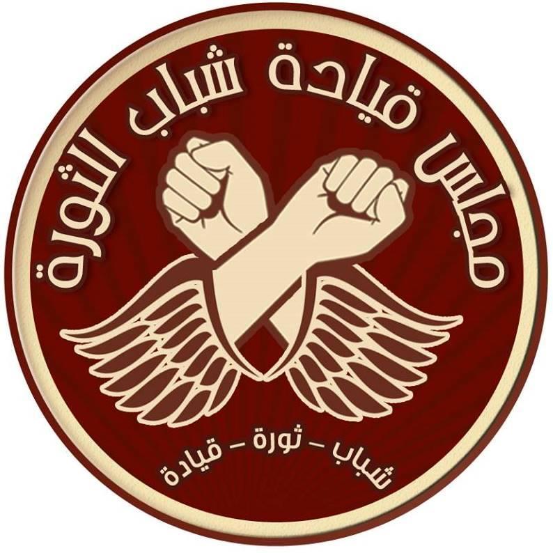 حركة ثورية تطرح مبادرة جديدة لتوحيد شركاء 25 يناير