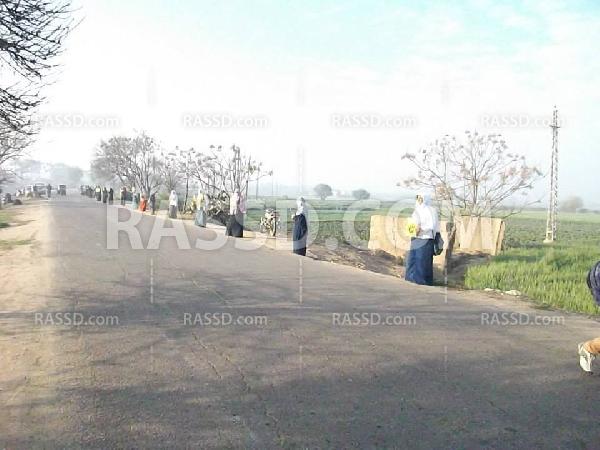 سلسلة بشرية لتحالف دعم الشرعية في فاقوس