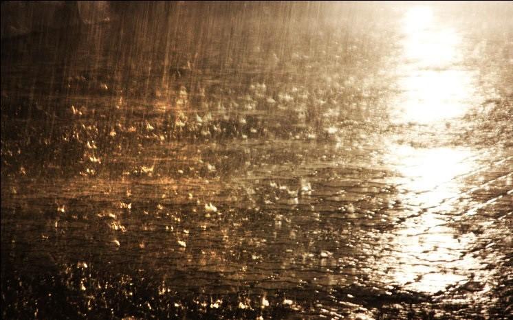 أمطار غزيرة على مدن وقرى محافظة الغربية