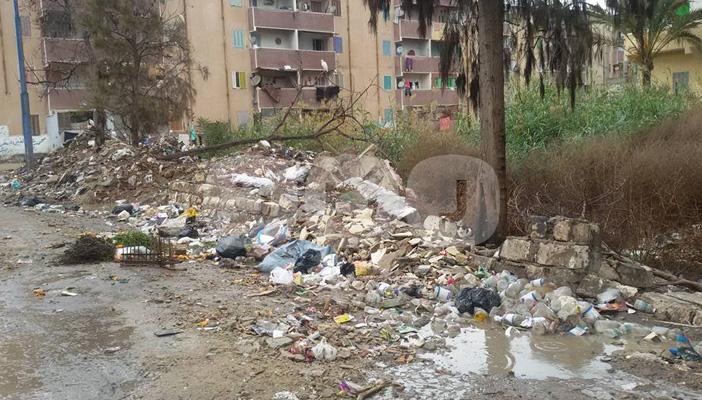 بالصور.. القمامة تغطي شوارع حوش عيسى بالبحيرة وسيارات المحليات غائبة