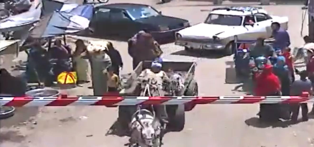 بالفيديو.. المتحدث باسم وزارة النقل: حمار “طوخ” لسه عايش