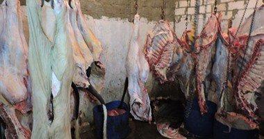 ضبط جزار بالمنيا يدير سلخانة دون ترخيص ويبيع لحوما فاسدة