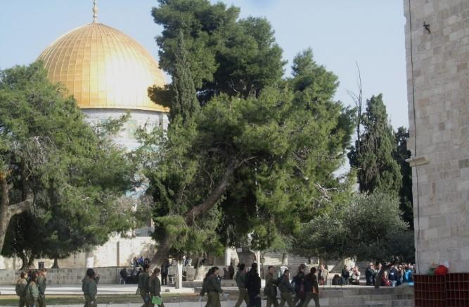 100 مجندة صهيونية يقتحمن الأقصى فى حماية شرطة الاحتلال