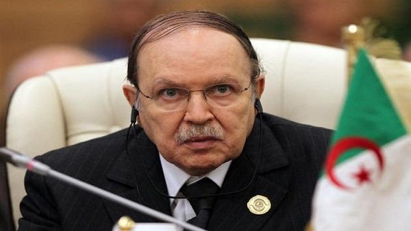 “بوتفليقة الصغير”.. مستقبل تحصين الفريق الجزائري الحاكم في 2019