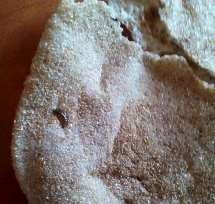 صراصير في العيش.. جديد منظومة الخبز في شبين الكوم بمحافظة المنوفية