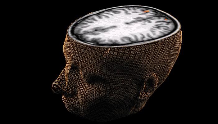 10 نصائح لتحسن ذاكرتك وتحمي دماغك من التلف