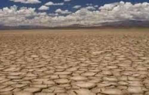 “الفاو”تحذر مصر من خطورة التصحر والتعدي على الأراضي الزراعية