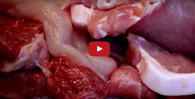 بالفيديو.. مذيع “BBC” يتناول لحم ساقه لتجربة اللحم البشري