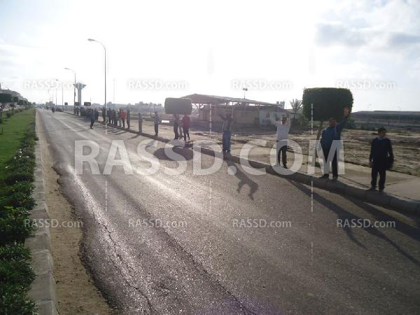 سلسة بشرية صباحية بدمياط الجديدة للتنديد باعتقال المواطنين