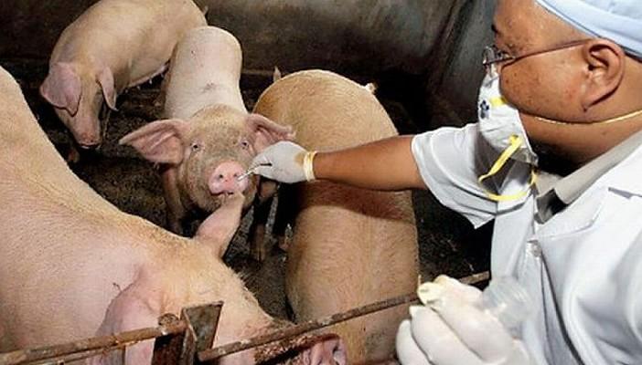 وفاة سيدة حامل بأسوان لإصابتها بإنفلونزا الخنازير