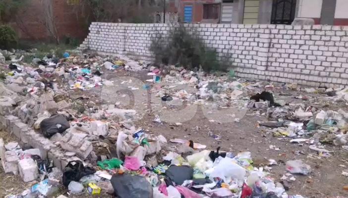 بالصور.. تلال القمامة كابوس يواجه أهالي بسيون بالغربية