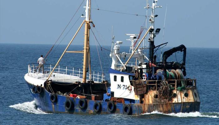 الإفراج عن الصيادين الستة المحتجزين في اليمن خلال ساعات