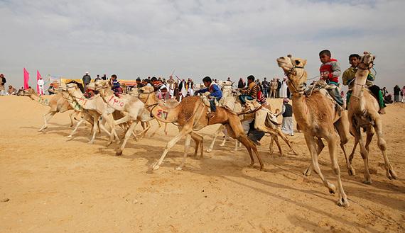 المونيتور: متسابقو الإبل في مصر يأملون في دفع السياحة