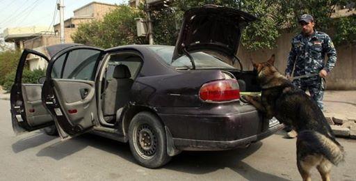 كلاب بوليسية أمام مقر اللجنة العليا للإنتخابات