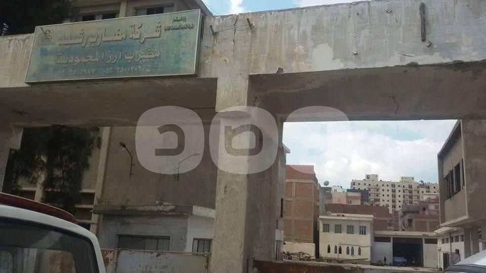 بالصور.. بيع مضرب أرز المحمودية يثير غضب العمال