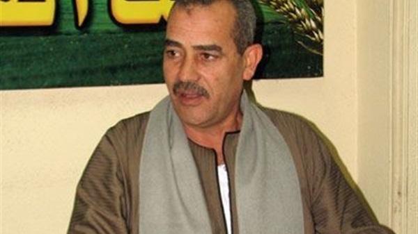 الجحش: سنجمع 100 الف توقيع للسيسي