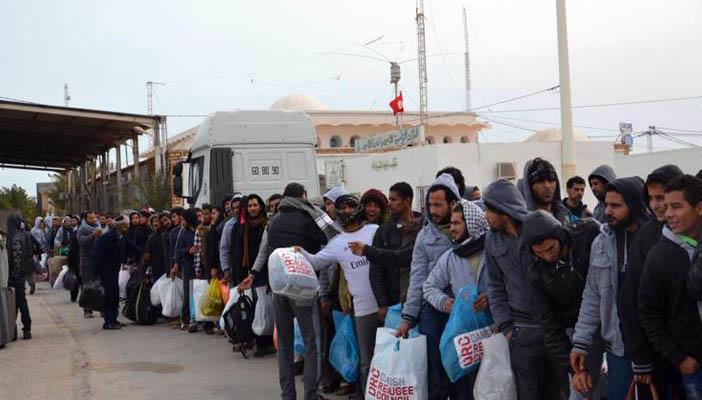 عودة 116 مصريًا من ليبيا عبر مطار جربا التونسي