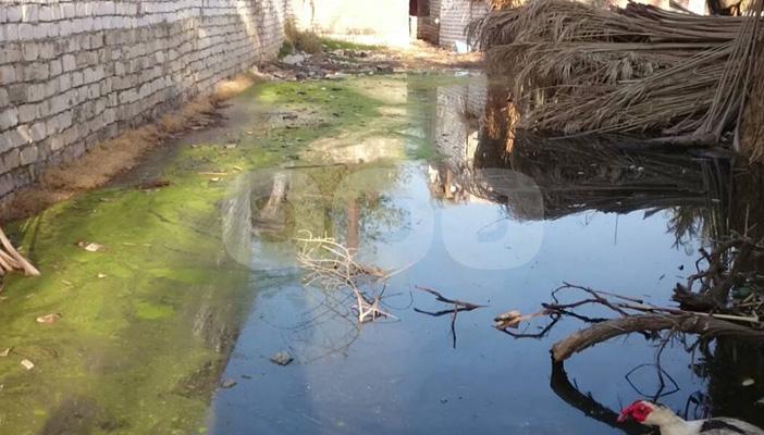 بالصور.. غرق منازل ومحاصيل “عزبة عرابي” بمياه الصرف الصحي في الفيوم