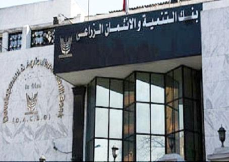 بالمستندات.. بنك الائتمان الزراعي يبدأ بيع أصوله