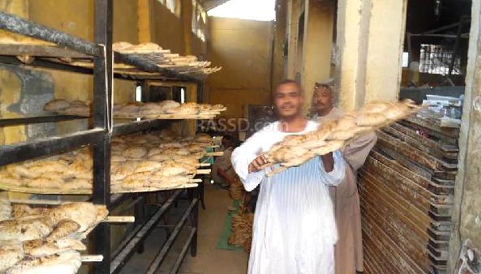 بالصور.. فشل تطبيق منظومة الخبز الجديدة في أول يوم بالأقصر