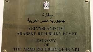 قواعد بيانات للمغتربين المصريين.. استهداف مخابراتي وابتزاز ماديّ