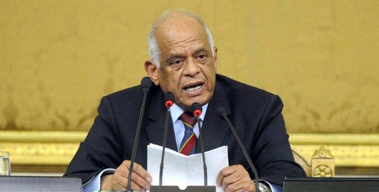 وفود برلمانية مصرية تقدم الشكر لقيادات السعودية والكويت والإمارات