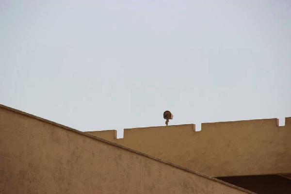 كاميرات بجامعة حلوان لرصد مناهضي الانقلاب