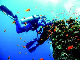 مصر تخسر أهم 40 موقعا للغوص بعد التخلي عن جزيرتي صنافير وتيران