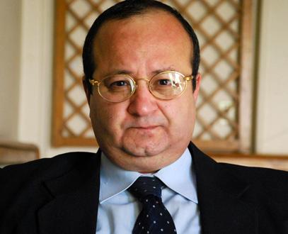 محلل سياسي : الدعوة لانتخابات رئاسية مبكرة انقلاب ضد الثورة