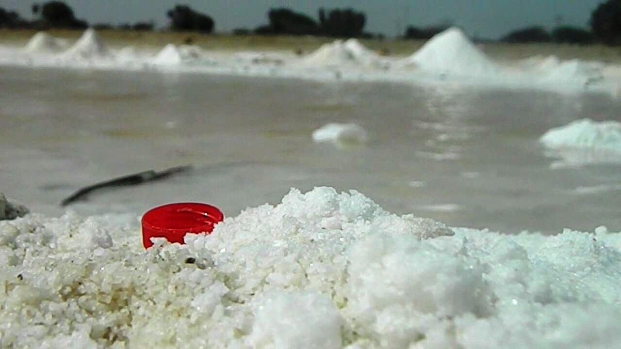 إنشاء أكبر مصنع للملح في الفيوم بالتعاون مع القوات المسلحة