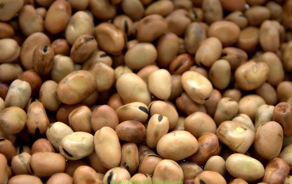 عضو برلماني: شحنة فول لا تصلح للاستهلاك الآدمي دخلت مصر في ديسمبر