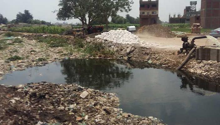 نائبة بكفر الشيخ تتهم وزارة البيئة بإصابة المواطنين بفيروس سي