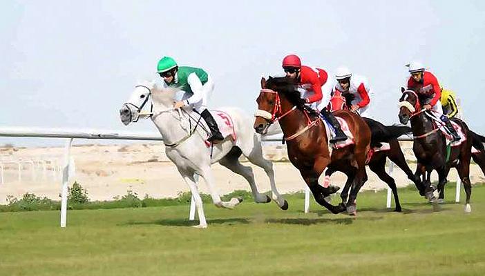 مصر تتوج بلقب البطولة الدولية للفروسية