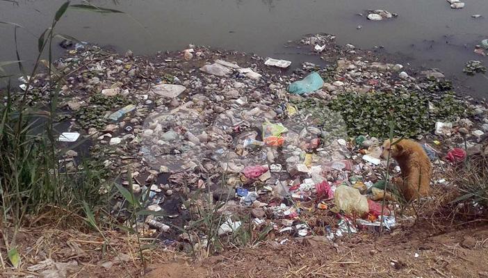 بالصور.. تلال القمامة تغرق الشرقية.. والأهالي: الأمراض تنهش أولادنا