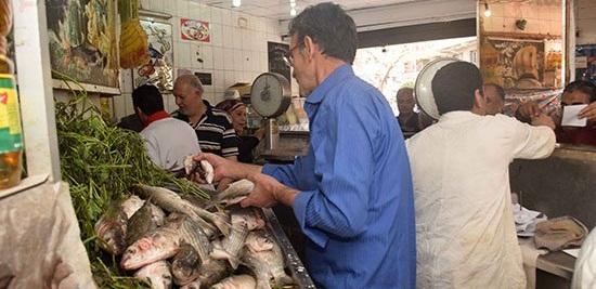 بعد أسبوعين من تعطيش السوق وغلائه.. موجة أسماك تظهر في منافذ حكومية