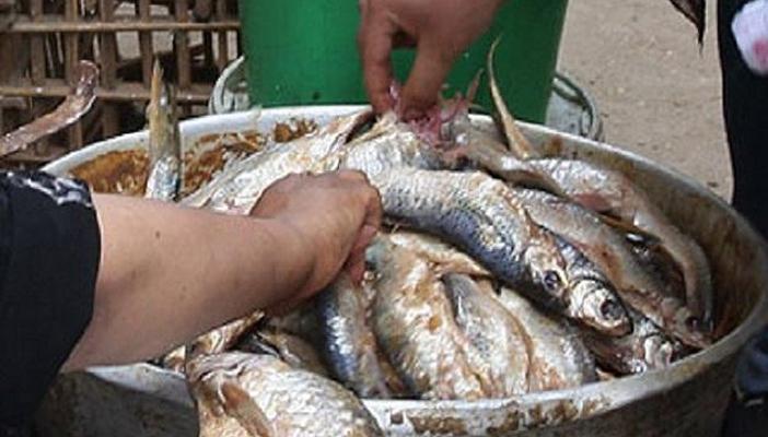 إصابة 6 أشخاص بالتسمم بسبب تناول الفسيخ