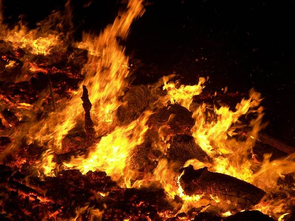 حريق يلتهم أطنان الأعلاف بمحطة الإنتاج الحيوانى بدمياط