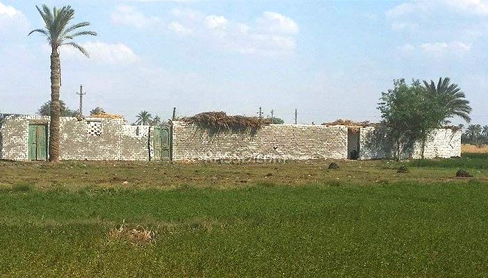 البناء المخالف شبح يهدد الأراضي الزراعية في الفيوم