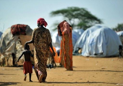 جيبوتى تسلم 267 إريتريا إلى مفوضية اللاجئين