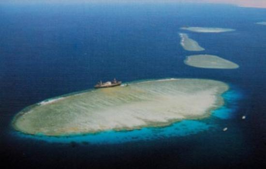 استمرار نشاط الغوص قرب جزيرة تيران