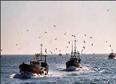 الإفراج عن 36 صيادًا مصريًا باليمن بعد احتجازهم 3 أشهر