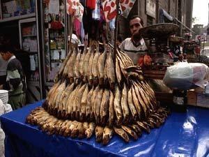 قبل شم النسيم ..ضبط 6 أطنان من الأسماك الفاسدة بالأسواق